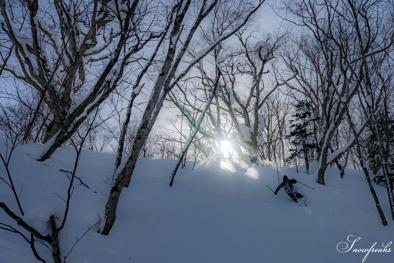 朝里川温泉スキー場　全長４km超のダウンヒル！今季誕生した新エリア『ツリーランゾーン』→『ホワイトライン』を滑ってみました(*^^)v